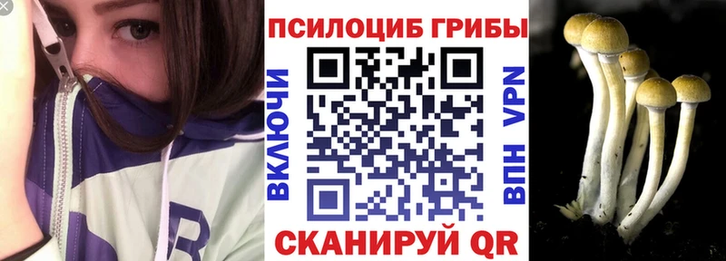 Псилоцибиновые грибы GOLDEN TEACHER  Павловская 